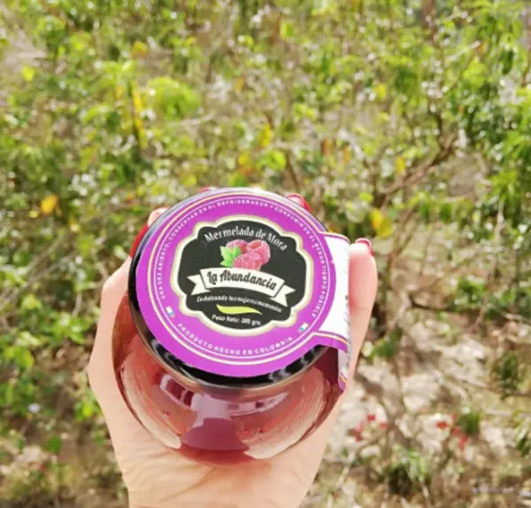 Mermelada de Mora